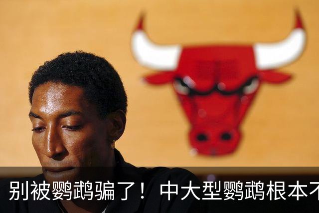 别被鹦鹉骗了！中大型鹦鹉根本不是宠物，是会飞的野生猛禽！